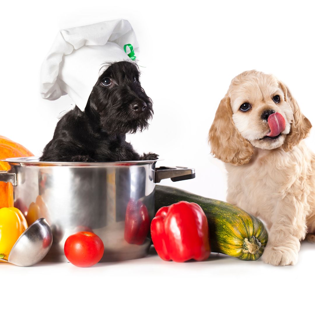 puppies with vegetables
