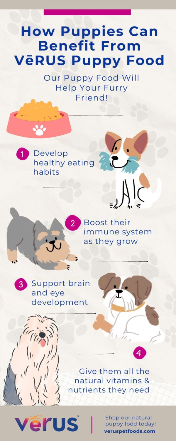 A Breakdown of Our Vērus Puppy Food VēRUS Pet Foods