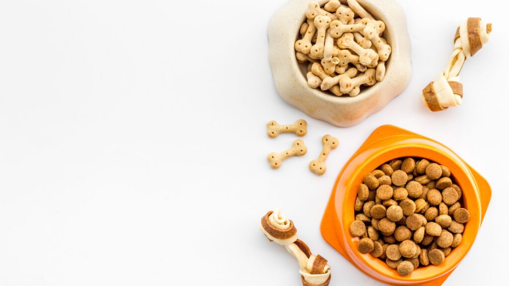 dog food