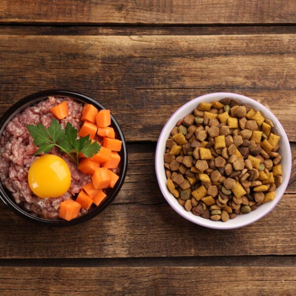 bowls of whole food and pet food