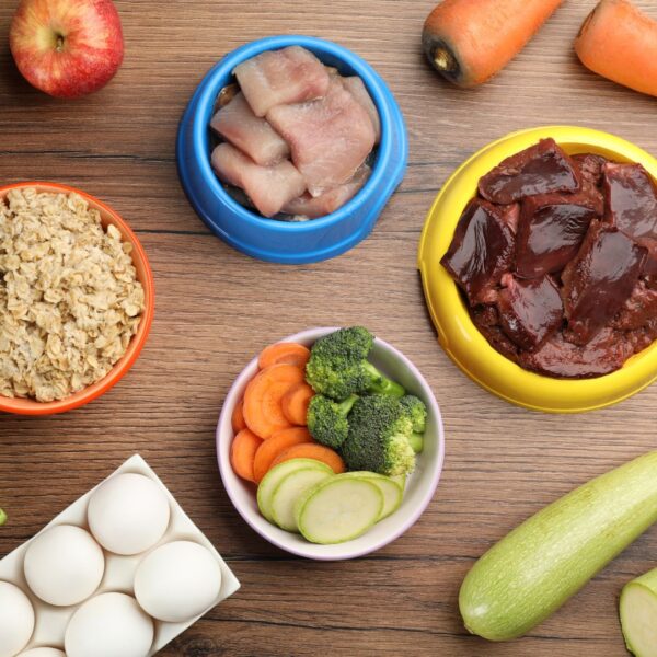 bowls of whole food and pet food