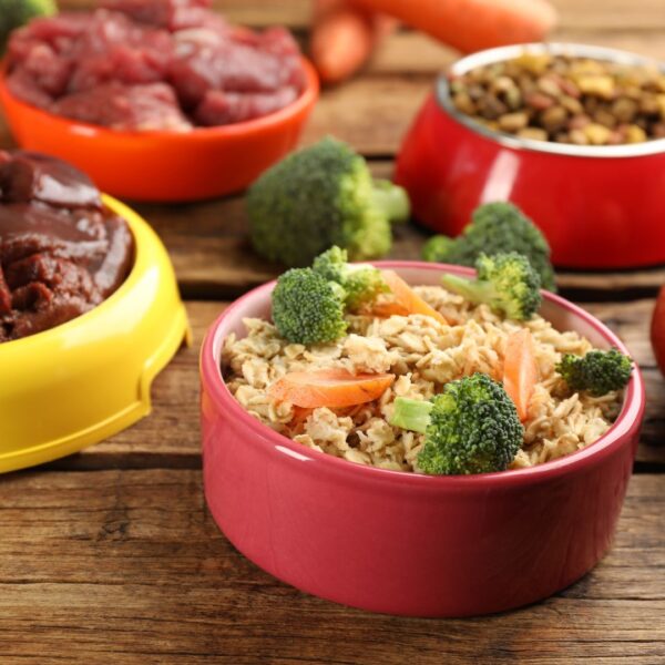 bowls of whole food and pet food