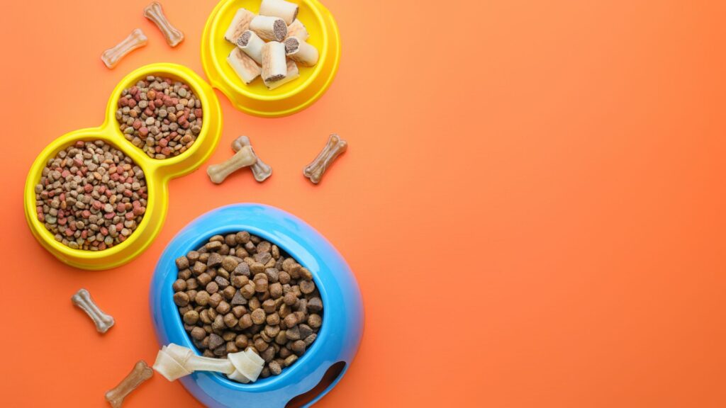 pet food on an orange background