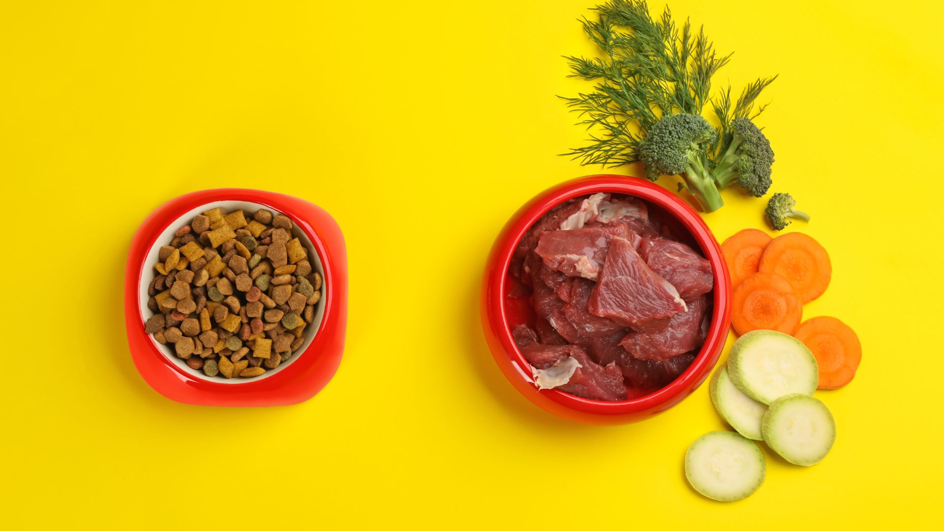 Image showcasing Unlocking Holistic Pet Food: A Comprehensive Guide | Verus Pet Foods