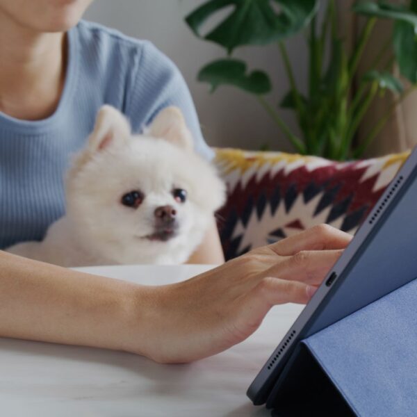 person ordering dog food with dog on lap