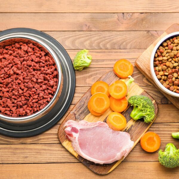vegetables and meat on a table with dog kibble