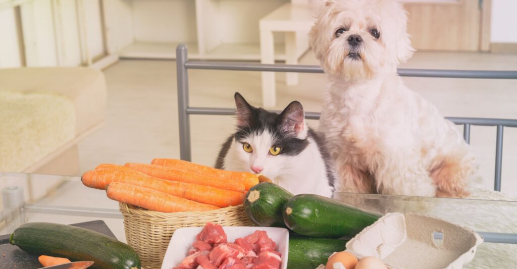 dog and cat at a dinner table with vegetables and meat on it