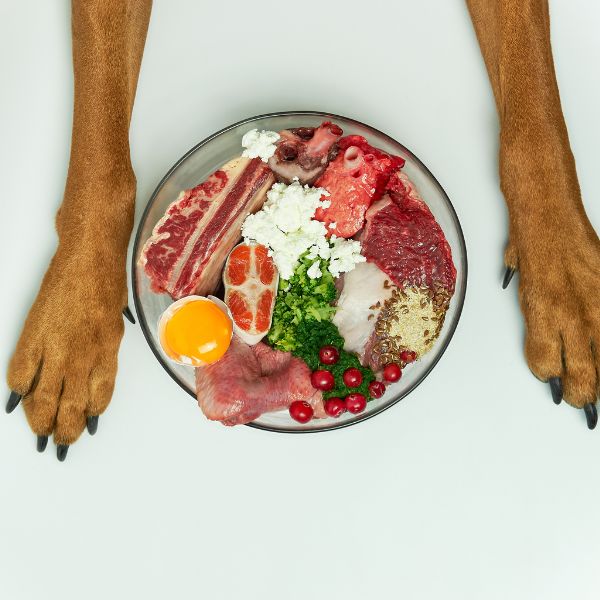 Dog paws beside a bowl of raw ingredients