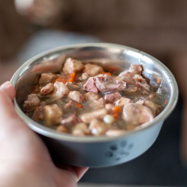 Hand holding a bowl of wet dog food