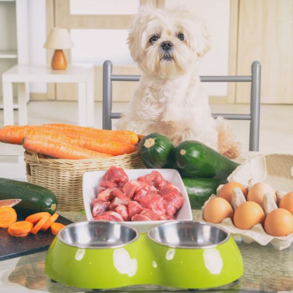Dog with fresh food ingredients on the table