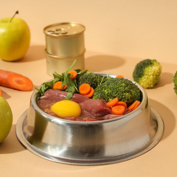 Fresh ingredients in a dog's food bowl