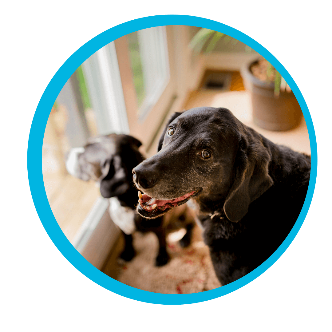 Senior Discount PB Image 3