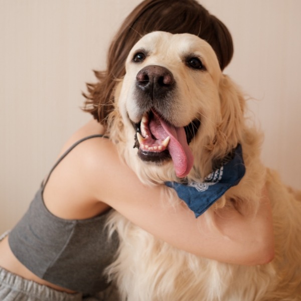petting dog