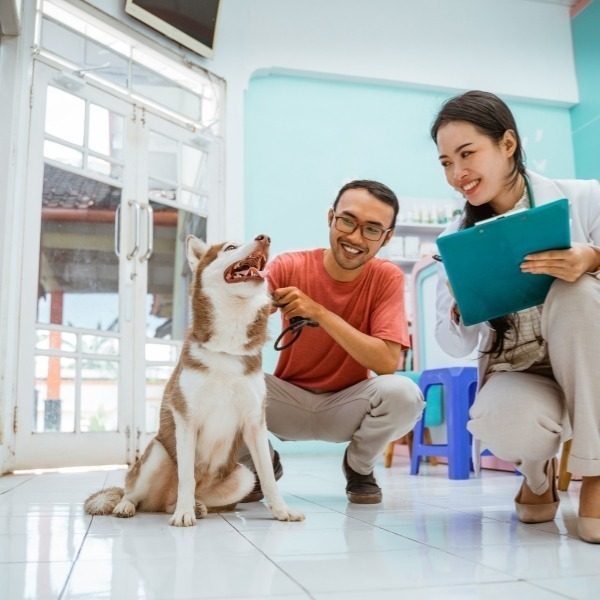 vet check for pet weight