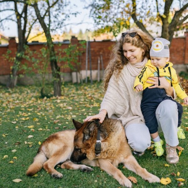 Family dog with young mom and child