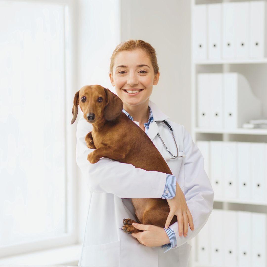 doctor holding pet dog