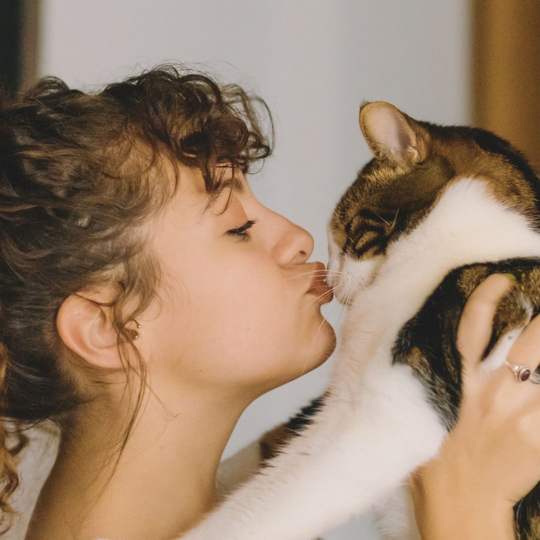 cat owner kissing cat on nose